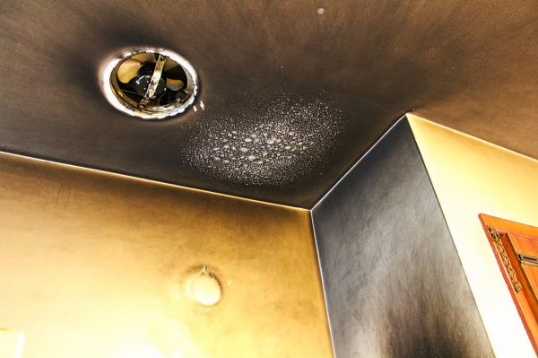 Cost of Smoke Damage Removal in Carmel